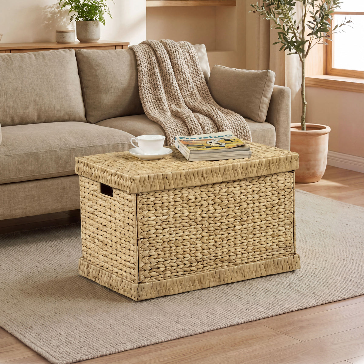 eHemco Water Hyacinth Wicker Storage Trunk, Natural, 26.8x16.1x16.9 Inches